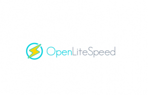 CentOS 8中部署OpenLiteSpeed Web服务器