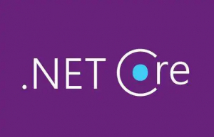 .Net Core使用File Providers