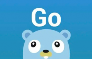 详解Golang二维切片初始化