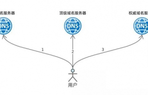 通过Dig命令模仿迭代解析