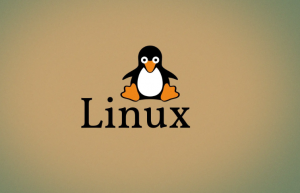 详解Linux性能分析和优化命令