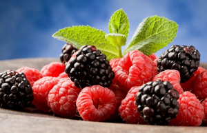 通过Cockpit 管理你的树莓派