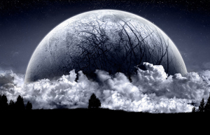 Linux中使用 dust 代替 du