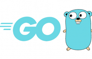讲解Go接口