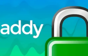 CentOS 8部署Caddy Web服务器具体方法