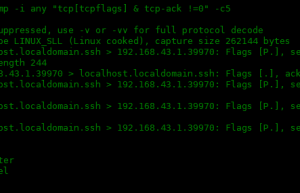 详解tcpdump 命令的常用选项（三）