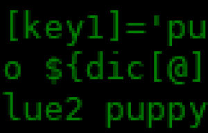 bash 中使用键值字典具体方法