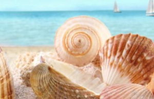 改进你的脚本程序具体方法