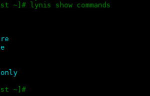 Centos8 中安装 Lynis审计工具