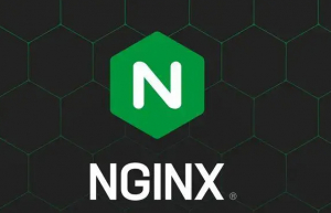 Linux环境下部署nginx
