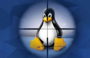 Linux系统中添加新硬盘和分区