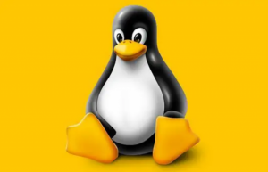 Linux中安装 Apache服务器