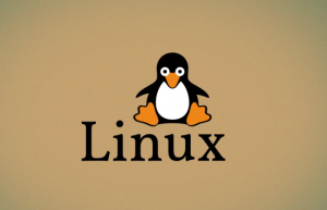 Linux中通过dd命令备份系统的例子