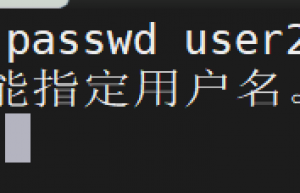 讲解一下linux中安全和权限