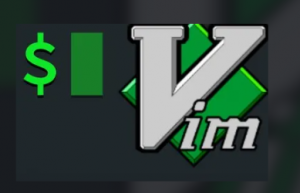 vim跳转到本行末尾