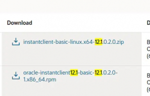 通过Docker制作Python环境连接Oracle镜像