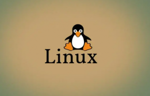 Linux通过bat 命令查看文件内容