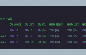 Kube-capacity CLI 查看 Kubernetes技巧