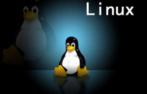 新手学习Linux常用的误区