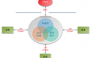 搜狐视频Redis私有云平台CacheCloud