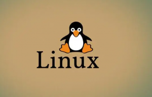 讲解一下linux loop device