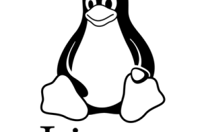 Linux 6.0网络子系统功能更新