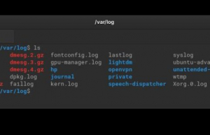 Linux 中实时监控日志文件具体方法