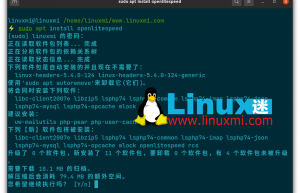 Linux 下安装使用OpenLitespeed