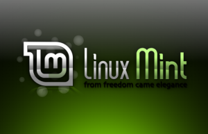 你需要知道的Linux Mint 的一些