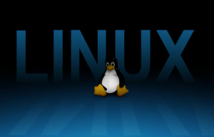 讲解一下Linux 中的 Socat 命令