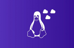 Linux 下使通过TC实现网络限流