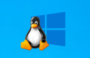 Windows 和 Linux双系统的的 10 大风险