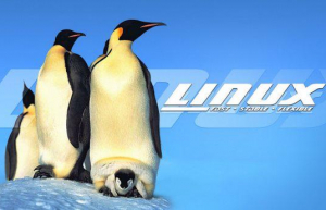 知道这5点建议，学习Linux系统不再难