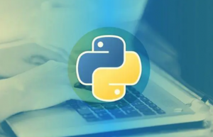 通过Python语言实现制作透明背景的电子印章
