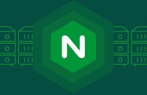 服务器nginx权限被拒绝的解决方案