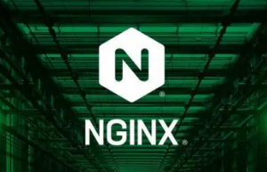 修改Nginx配置返回指定content-type的方法详解