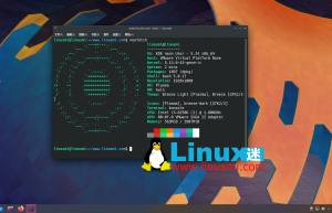 Linux 中 九 个鲜为人知的 Neofetch 使用方法