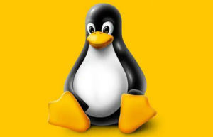 通过 userdel 命令删除 Linux 中的用户