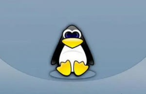 Linux 上录制你的终端操作