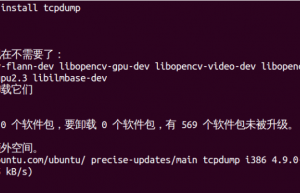网络/命令行抓包工具tcpdump详解