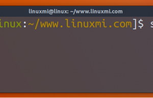 Linux命令su、sudo、sudo su、sudo -i使用和区别