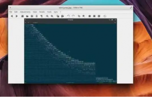 适用于 Linux 系统的 11 款图像查看器