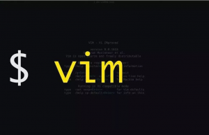 提高工作效率的 7 个 Vim 使用技巧