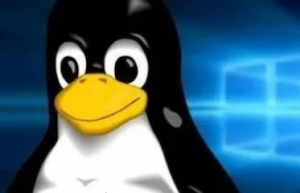 在Linux中我是这样来统计行数,字数