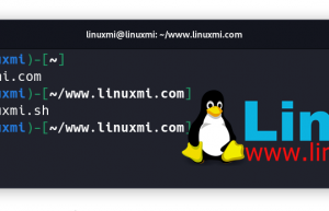 深入理解 Linux chmod 命令：u+x 和 +x 之间的区别