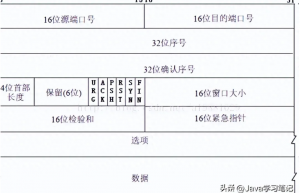 拒绝八股！通俗易懂带你理解TCP协议，轻松拿捏面试官！
