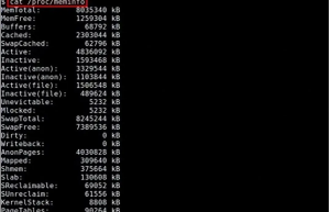 Linux 下查看内存使用情况方法总结