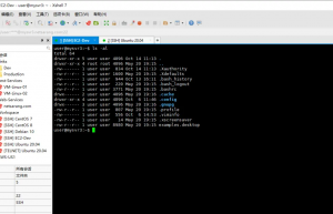 六款 Linux 常用远程连接工具介绍