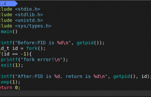 深入理解Linux中进程控制（精讲）