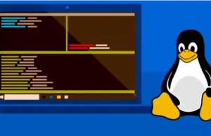 Linux环境变量总结